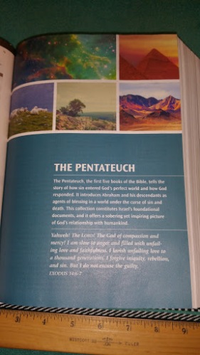 Showing the dark teal theme for the Pentateuch section on page 11