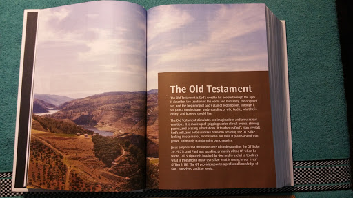 Opening page of the Old Testament Introduction section  on page 1