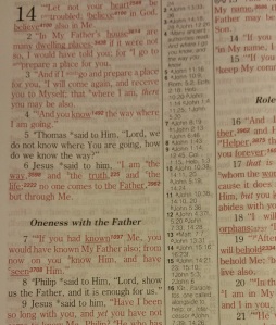 Hebrew-Greek Key Word Study Bible lighter font for Words of Christ