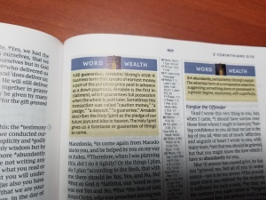 NKJV Spirit-Filled Life Bible Word Wealth