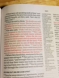 CSB Study Bible red letter words of Christ